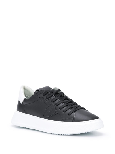 Shop Philippe Model Temple Low Man  Sneakers