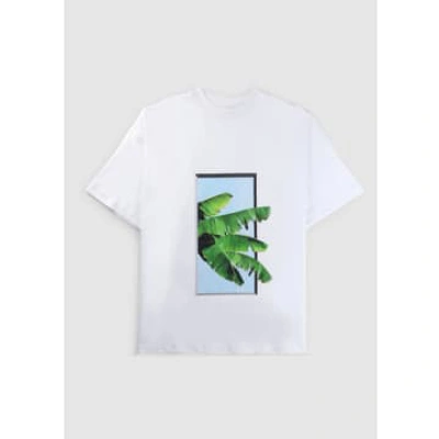 Shop Blue Sky Inn Mens Leaf T-shirt In White