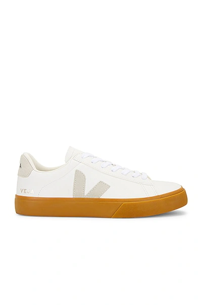 Shop Veja Campo Sneaker In Extra-white & Natural