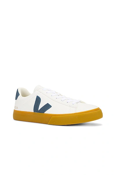 Shop Veja Campo Sneaker In Extra White & California Natural