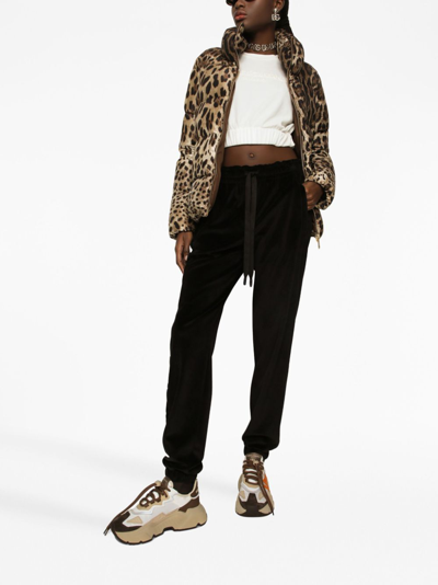 Dolce & Gabbana Leopard Print Stand Collar Puffer Jacket In Brown