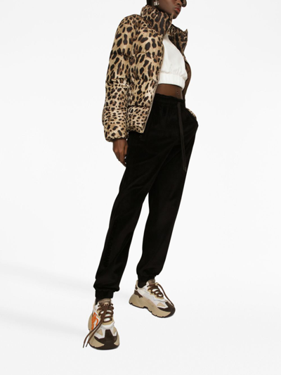 Dolce & Gabbana Leopard Print Stand Collar Puffer Jacket In Brown