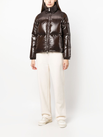 Pyrenex Goldin 3 Padded Puffer Jacket In Brown