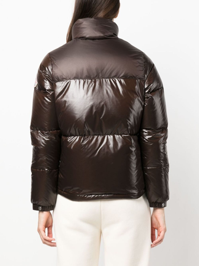 Pyrenex Goldin 3 Padded Puffer Jacket In Brown