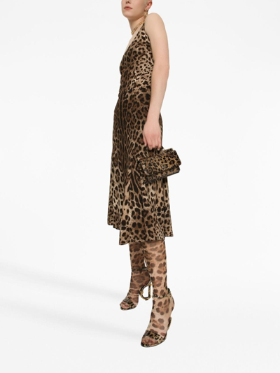 Dolce & Gabbana Leopard-print Calf-length Cady Dress In Brown