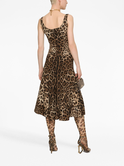 Dolce & Gabbana Leopard-print Calf-length Cady Dress In Brown