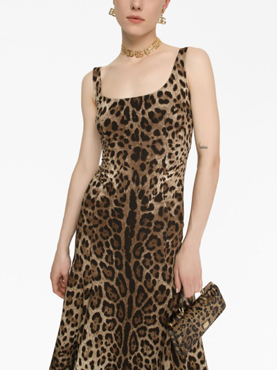 Dolce & Gabbana Leopard-print Calf-length Cady Dress In Brown