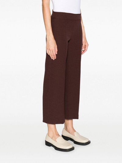 Shop Semicouture Dart-detail Elasticated Cropped Trousers In Brown