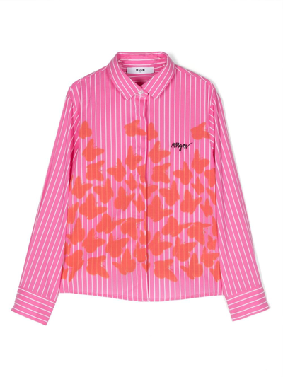 Shop Msgm Butterfly-print Striped Shirt In Pink
