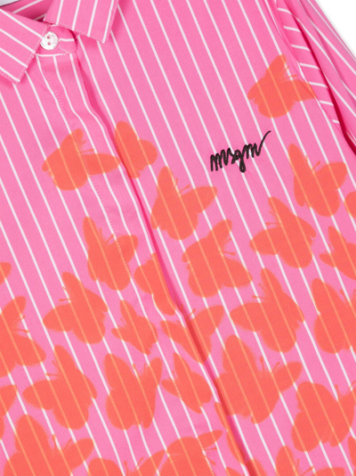 Shop Msgm Butterfly-print Striped Shirt In Pink