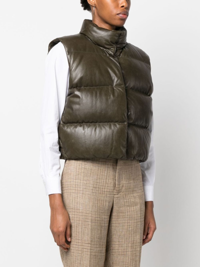 Shop Polo Ralph Lauren Quilted Puffer Gilet In Green