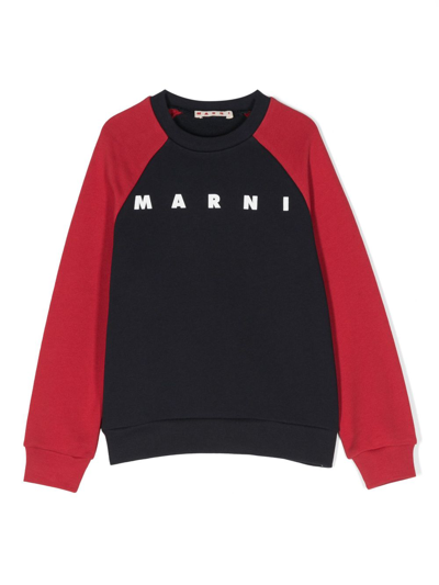 Shop Marni Colour-block Cotton Sweatshirt In Blue