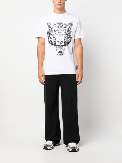 Shop Plein Sport Ss Chrome Tiger Cotton T-shirt In White