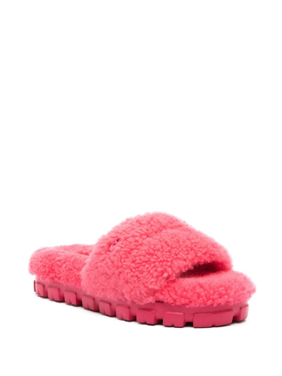 Shop Ugg Maxi Curly Scuffeta Shearling Slides In Pink