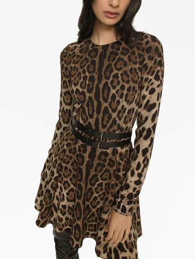 Shop Dolce & Gabbana Leopard-print Short Dress In Brown