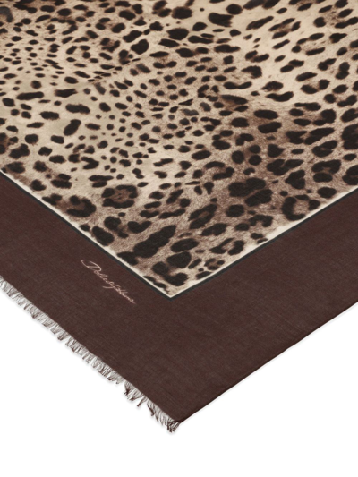 Shop Dolce & Gabbana Leopard-print Silk Scarf In Brown