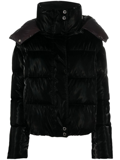 Shop Patrizia Pepe High-neck Padded Jacket In Black