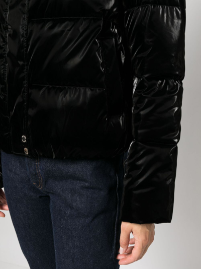 Shop Patrizia Pepe High-neck Padded Jacket In Black