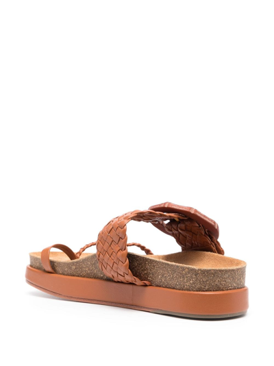 Johanna Ortiz Broadwalk Romance Leather Slides In Brown