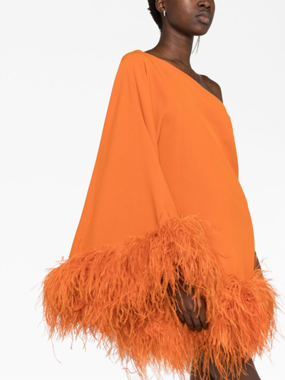 Shop Taller Marmo Piccolo Ubud Feather-trim Minidress In Orange