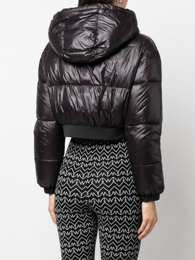 Shop Patrizia Pepe Cropped Hooded Down Jacket In Black