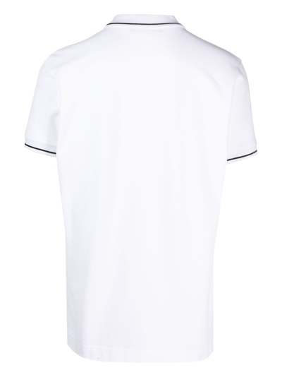 Shop Roberto Cavalli Mirror Snake Cotton Polo Shirt In White