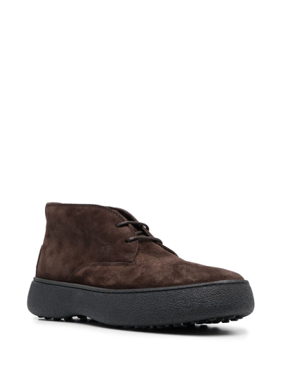 Shop Tod's W.g Desert Lace-up Suede Boots In Brown