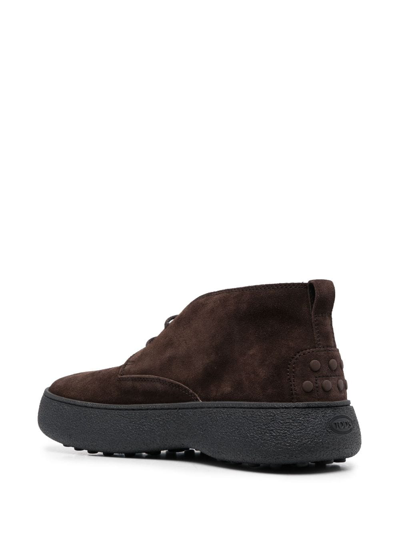 Shop Tod's W.g Desert Lace-up Suede Boots In Brown
