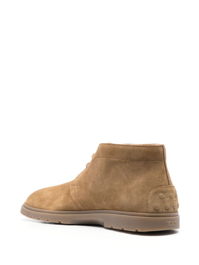 Shop Tod's Chukka Suede Boots In Brown