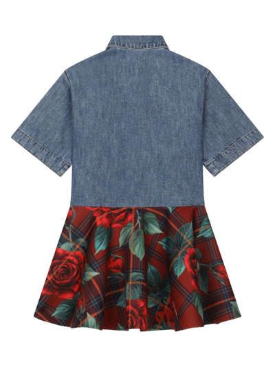 Shop Dolce & Gabbana Rose-print Denim Dress In Blue