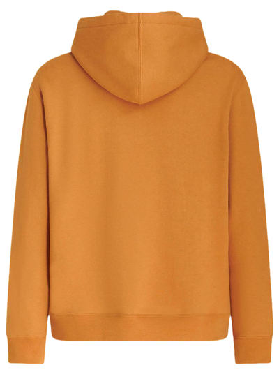 Shop Etro Hooded Cotton Sweatshirt In Marrone