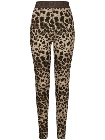 Dolce & Gabbana Logo-waistband Leopard-print Leggings In Neutrals