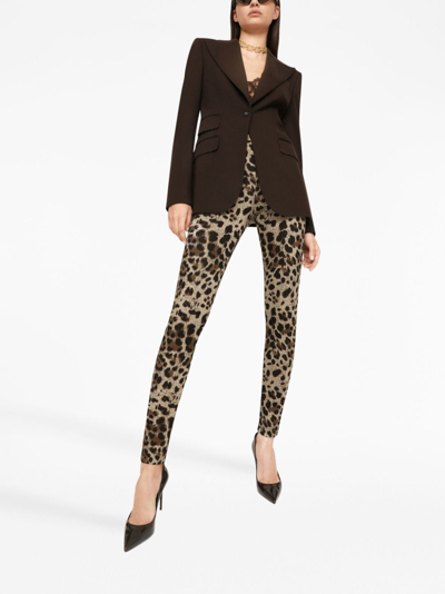 Shop Dolce & Gabbana Logo-waistband Leopard-print Leggings In Neutrals