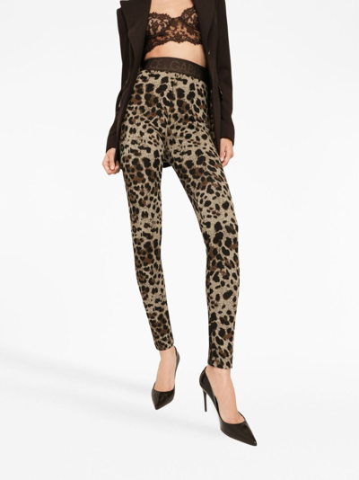 Dolce & Gabbana Logo-waistband Leopard-print Leggings In Neutrals