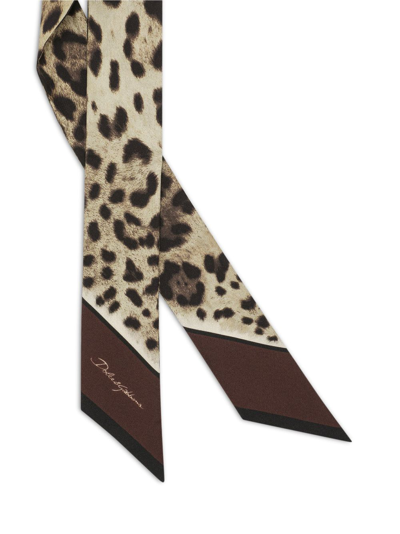 Shop Dolce & Gabbana Leopard-print Silk Headscarf In Brown