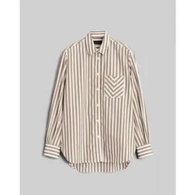 Rag & Bone Maxine Cotton Button Down Stripe Shirt In Brown Stripe In Green