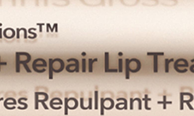 Dr Dennis Gross Skincare Derminfusions Plump + Repair Lip Treatment With Hyaluronic Acid .33 oz / 10 ml