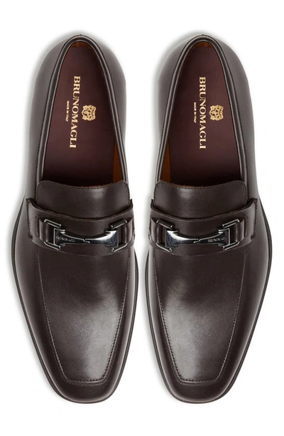 Shop Bruno Magli Raging Bit Loafer In Brown