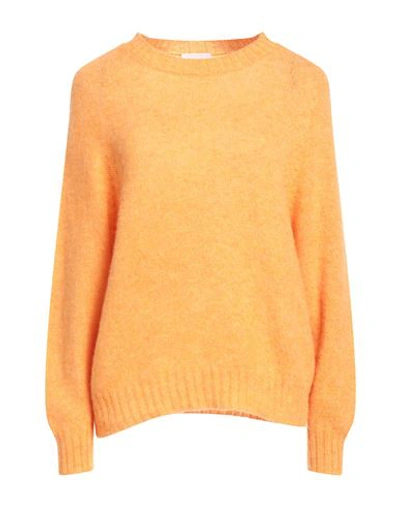 Shop Scaglione Woman Sweater Mandarin Size L Merino Wool