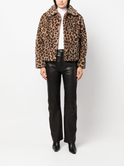 Yves Salomon Hooded Leopard-print Shearling Jacket In Braun