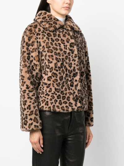 Yves Salomon Hooded Leopard-print Shearling Jacket In Braun