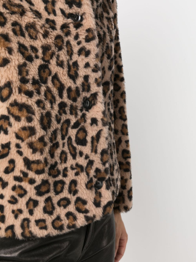 Yves Salomon Hooded Leopard-print Shearling Jacket In Braun
