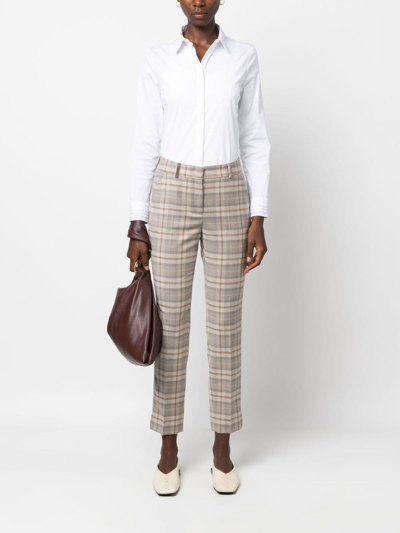 Shop Peserico Check-pattern Cropped Wool Trousers In Nude