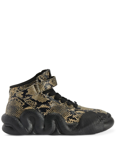 Shop Giuseppe Zanotti Cobras Snake-effect Leather Sneakers In Black
