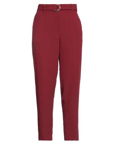 Shop Tommy Hilfiger Woman Pants Burgundy Size 8 Polyester In Red