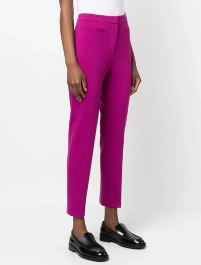 Shop Pinko Trousers In Viola Buganville