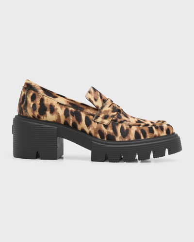Shop Stuart Weitzman Soho Leopard Casual Penny Loafers In Classic