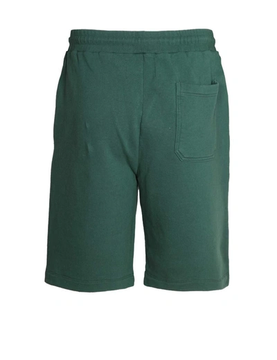 Shop Golden Goose Cotton Shorts In Green/white