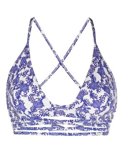 Shop Isabel Marant Floral-print Bikini Top In Blue White