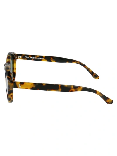 Shop Polo Ralph Lauren Sunglasses In 500471 Shiny Spotty Havana